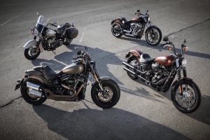 Harley Davidson Softail range 30
